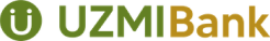 UZMI Pay